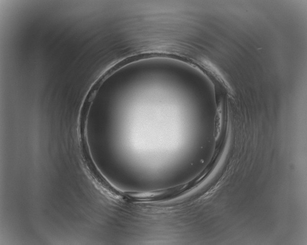 X0000073420884200608041021