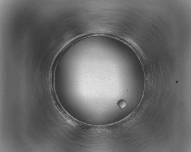 X0000073420886200608041021