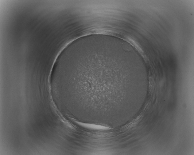 X0000073420891200608041021