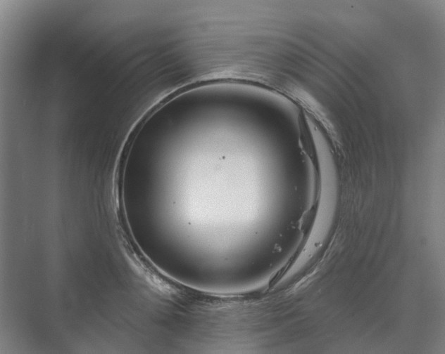 X0000073420892200608041021