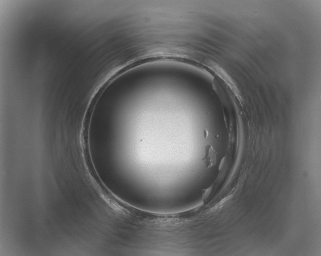 X0000073420893200608041021