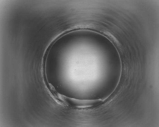 X0000073420894200608041021