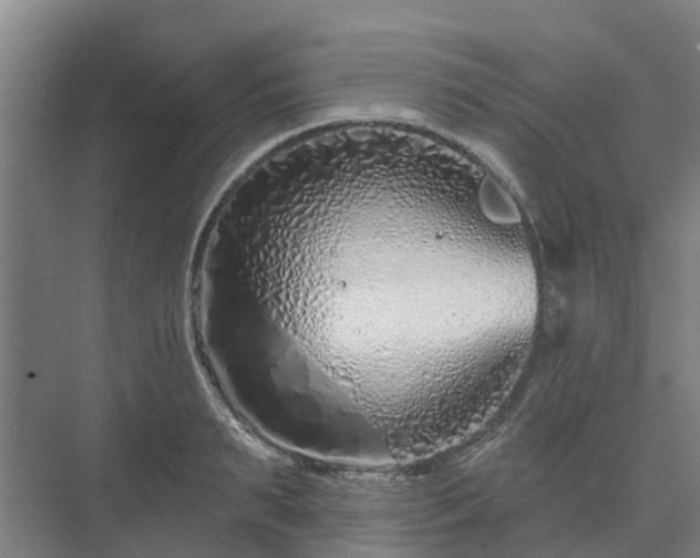 X0000073420895200608041021