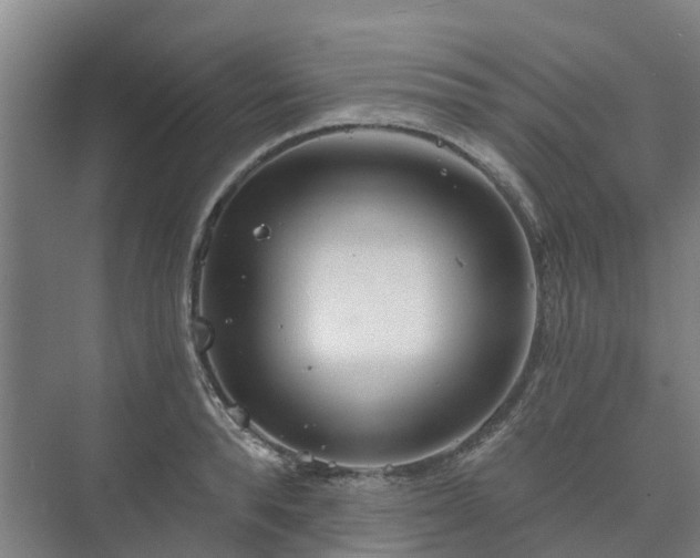 X0000073420896200608041021