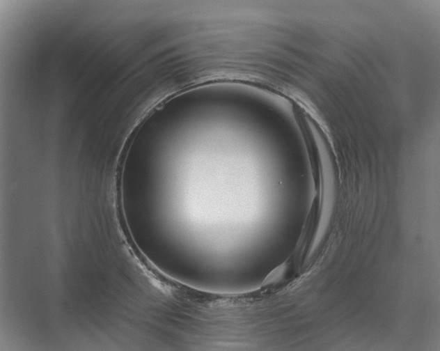 X0000073420898200608041021