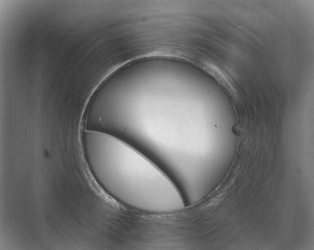 X0000073420900200608041021