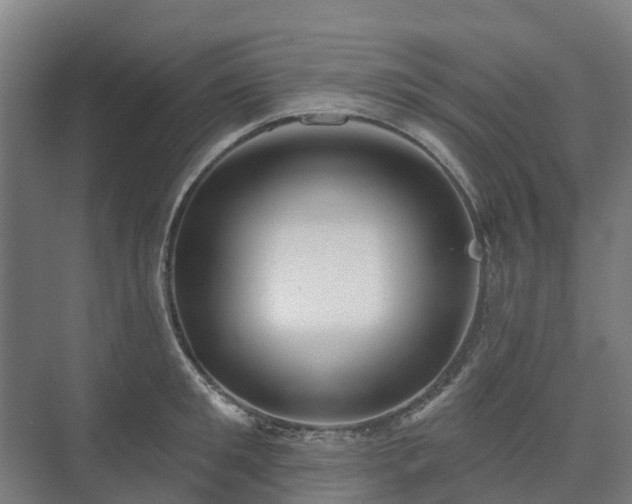 X0000073420901200608041021