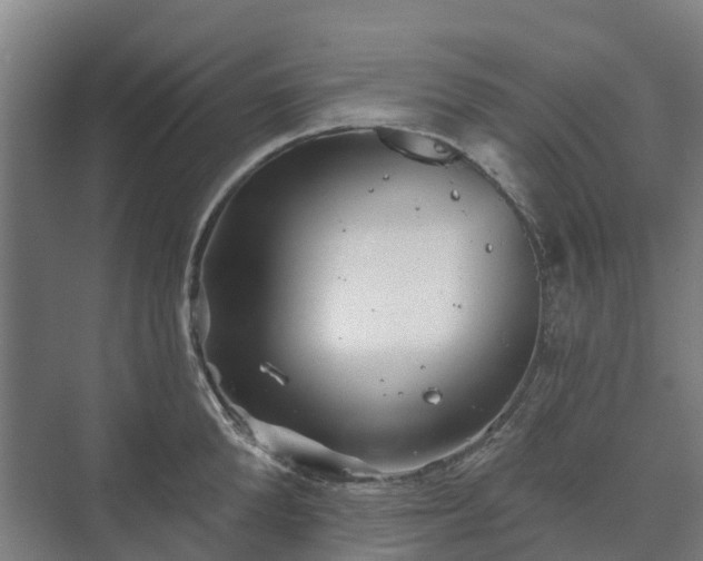 X0000073420904200608041021