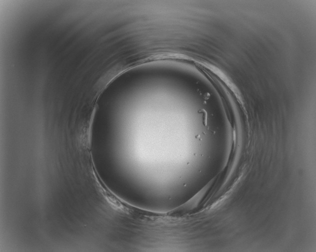 X0000073420905200608041021