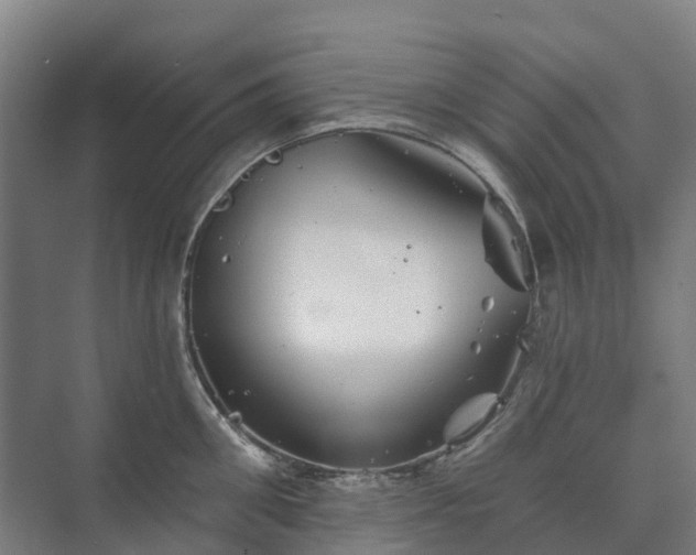 X0000073420906200608041021