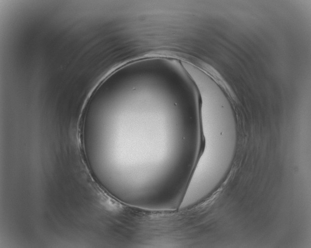 X0000073420908200608041021