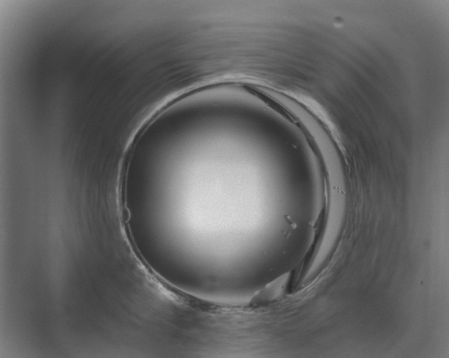 X0000073420910200608041021