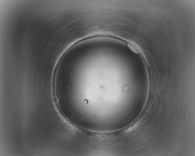 X0000073420911200608041021