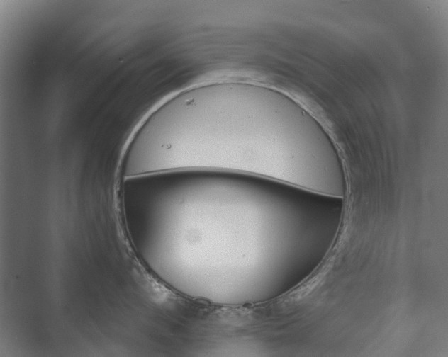 X0000073420912200608041021