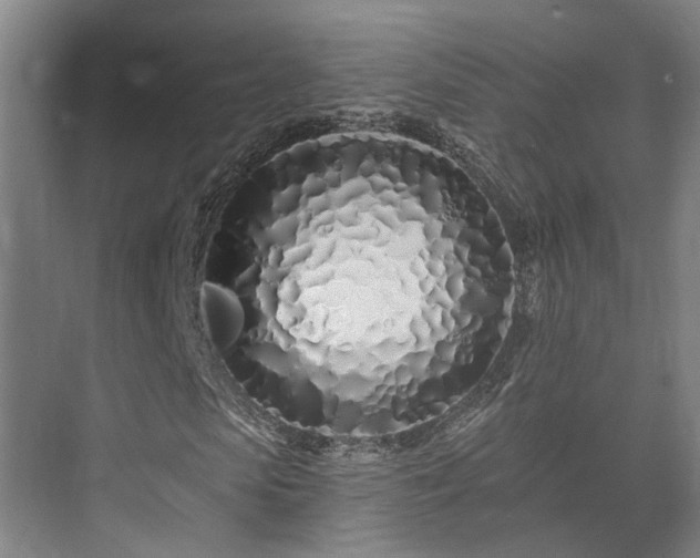 X0000073420913200608041020