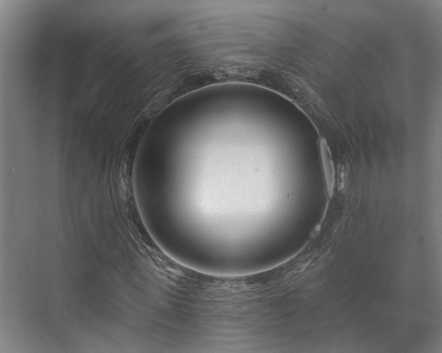 X0000073420915200608041020