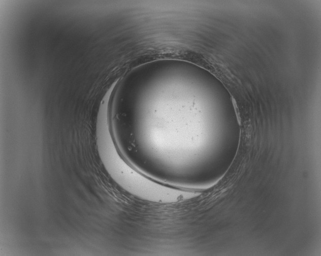 X0000073420916200608041020