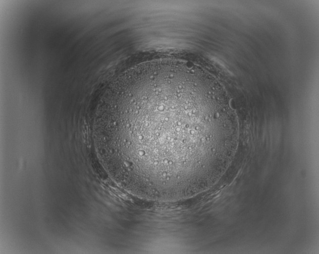 X0000073420917200608041020