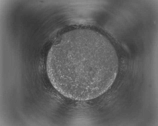 X0000073420918200608041020