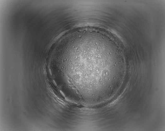 X0000073420921200608041020