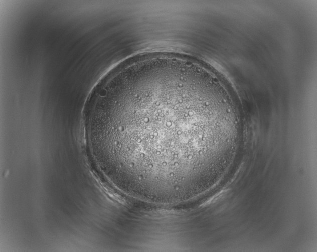 X0000073420925200608041020