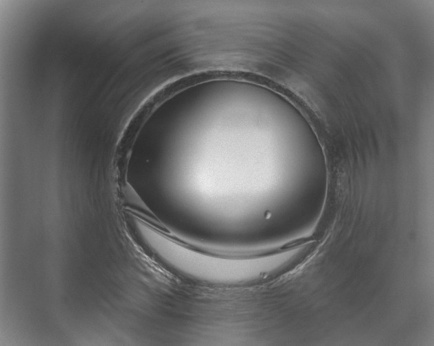 X0000073420926200608041020