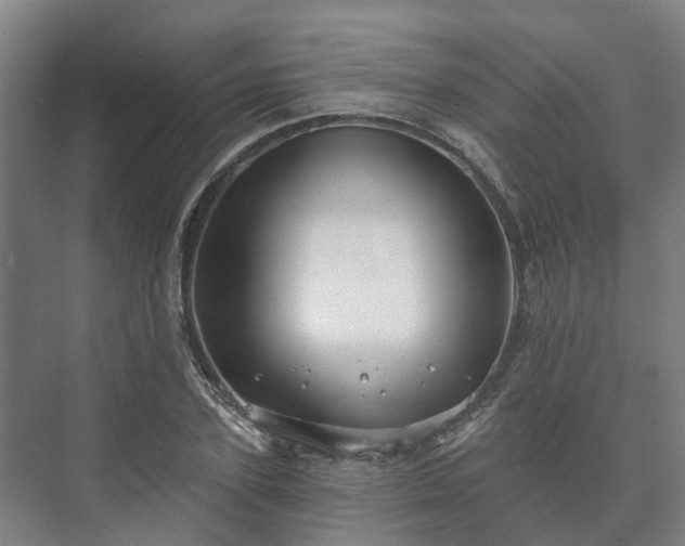 X0000073420931200608041020