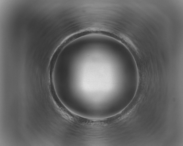 X0000073420934200608041020