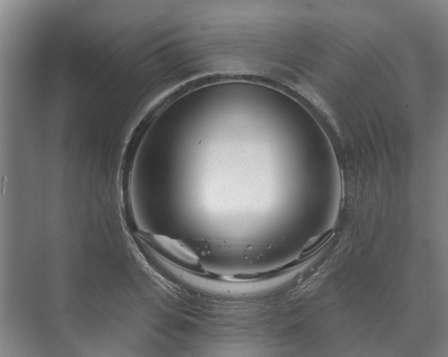 X0000073420935200608041020