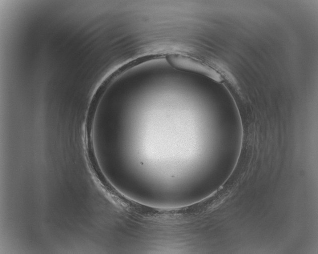 X0000073420936200608041020