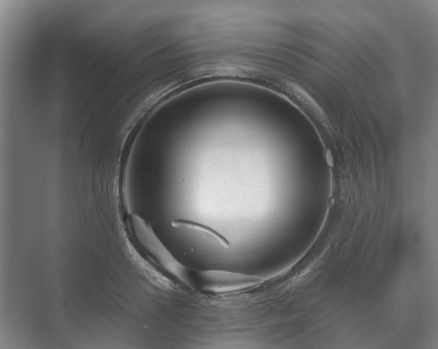 X0000073420938200608041020