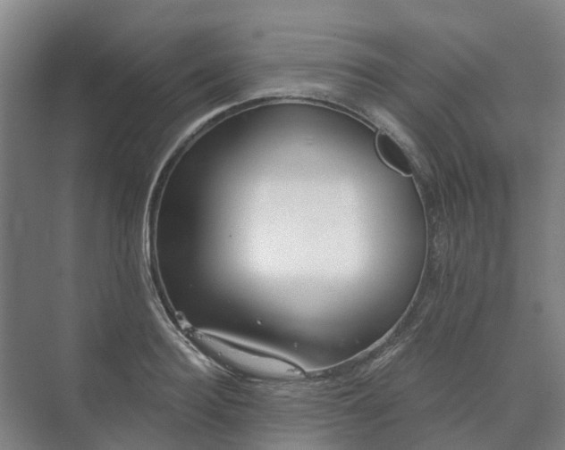 X0000073420940200608041021