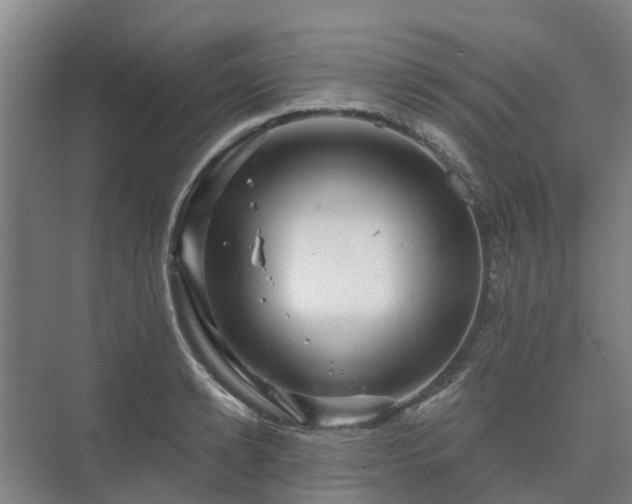 X0000073420942200608041021