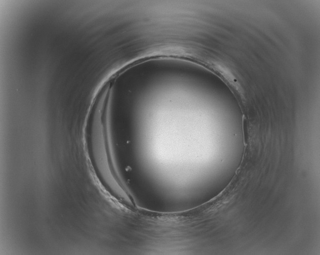 X0000073420944200608041021