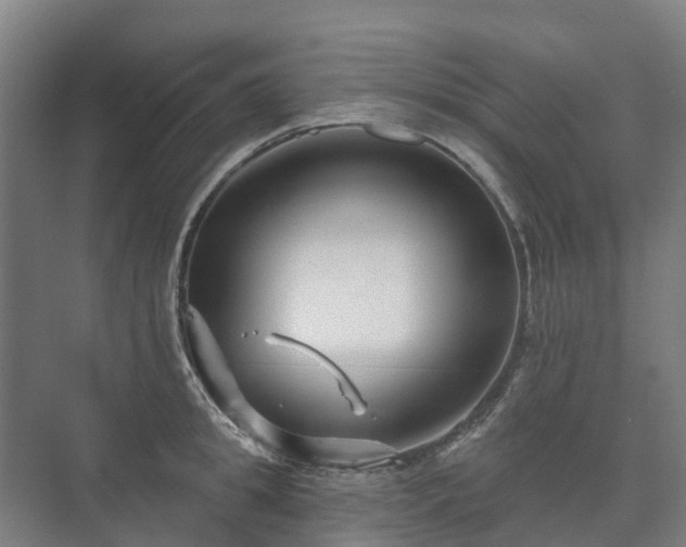 X0000073420949200608041021