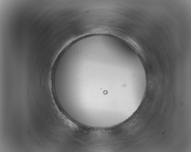 X0000073420950200608041021