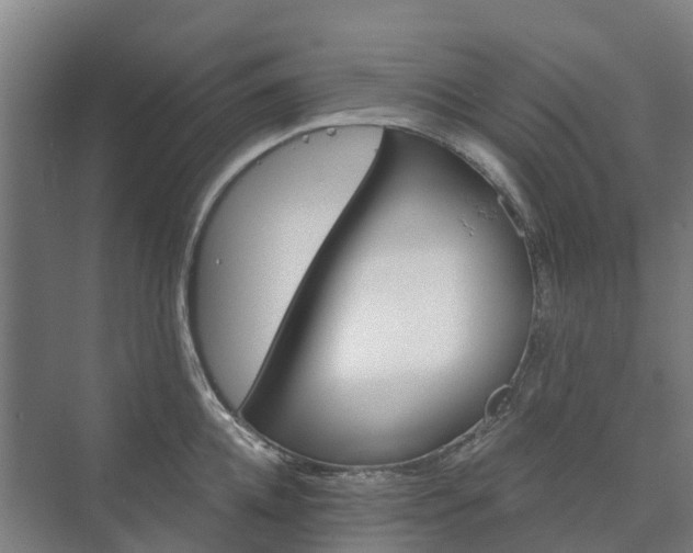 X0000073420952200608041021