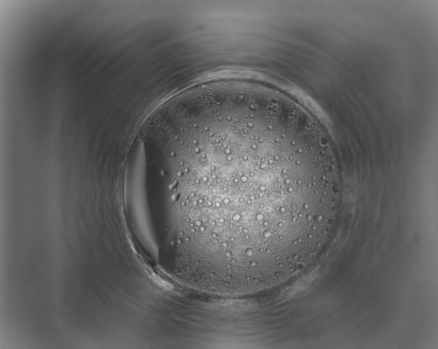 X0000073420953200608041021