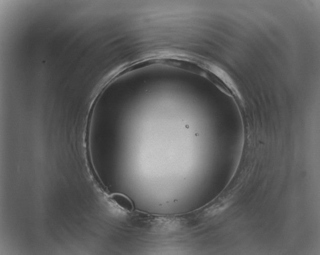 X0000073420954200608041021