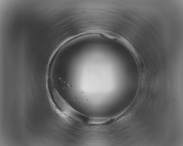 X0000073420955200608041021