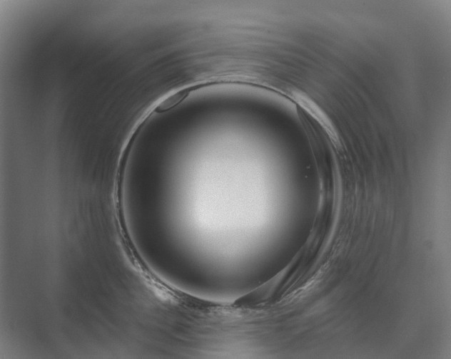 X0000073420956200608041021