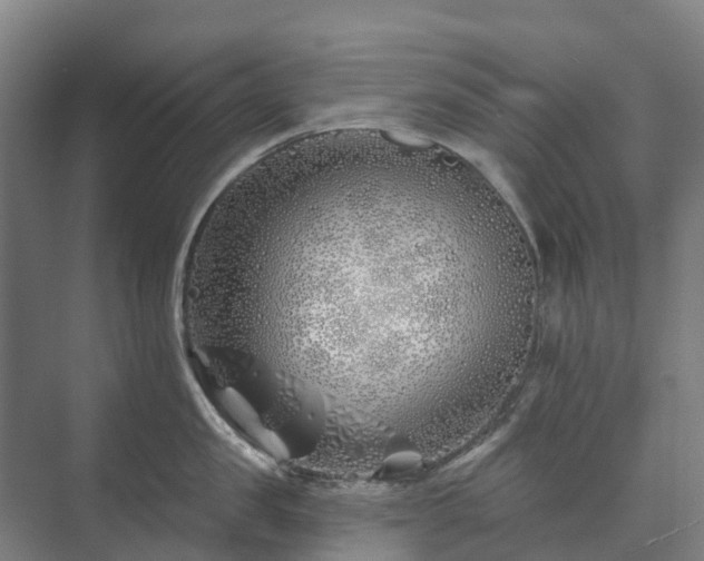 X0000073420957200608041021