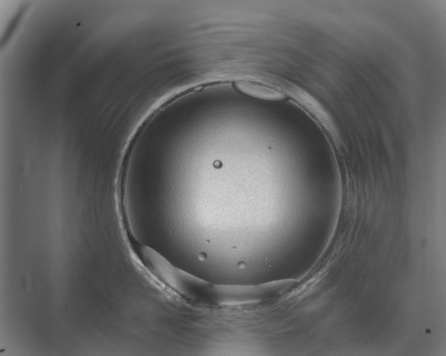 X0000073420958200608041021