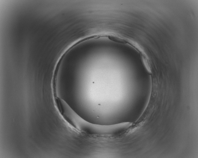 X0000073420959200608041021