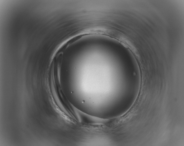 X0000073420960200608041021