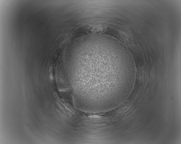 X0000073420962200608041020