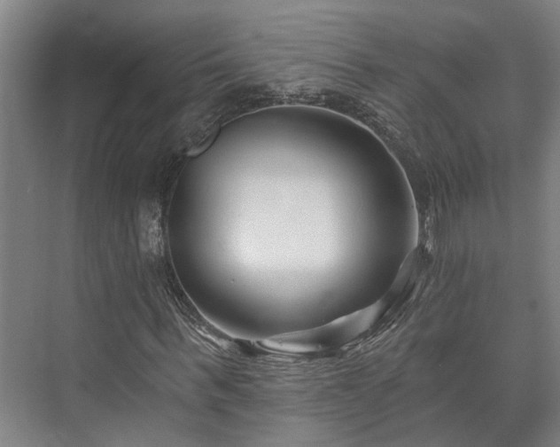 X0000073420963200608041020