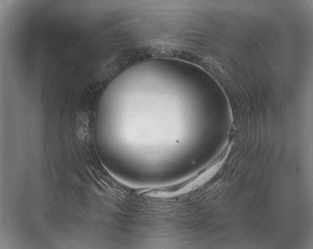 X0000073420964200608041020