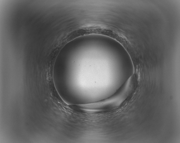 X0000073420965200608041020