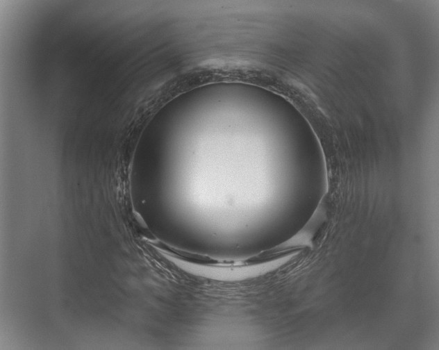 X0000073420966200608041020